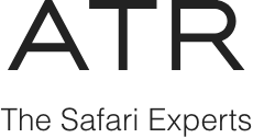 Safari Experts
