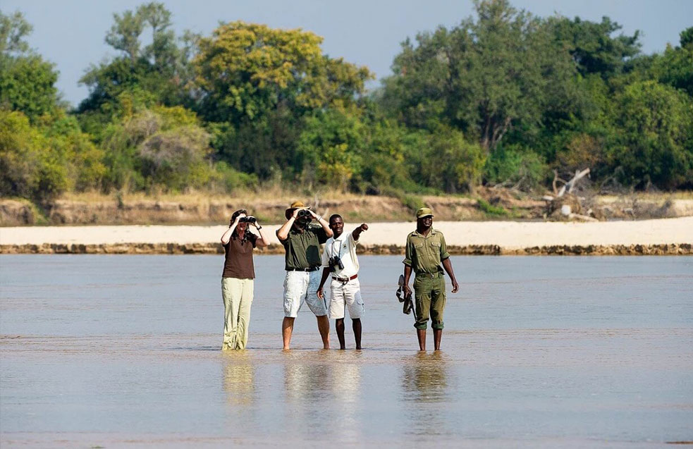 The best locations in Zambia for walking safari